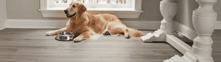 Боится ли кварц-винил когтей животных (собак и кошек)