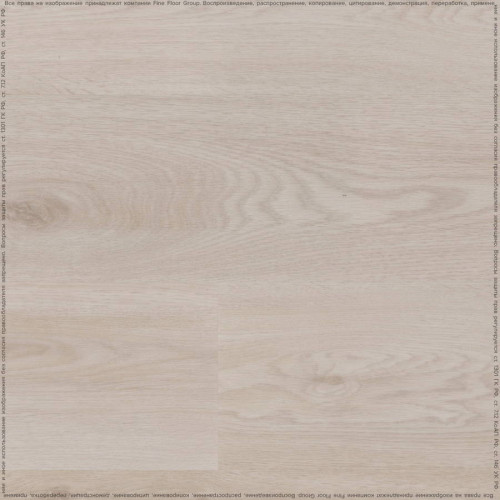 SPC ADELAR ETERNA ACOUSTIC CHAPMAN OAK 05221