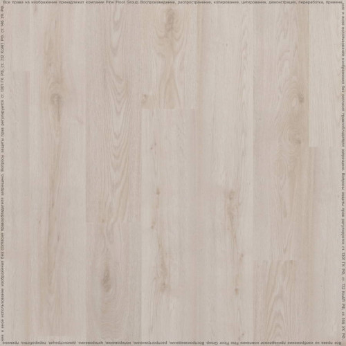 SPC ADELAR ETERNA ACOUSTIC CHAPMAN OAK 05221