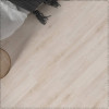 SPC ADELAR ETERNA ACOUSTIC CHAPMAN OAK 05221