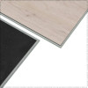 SPC ADELAR ETERNA ACOUSTIC CHAPMAN OAK 05221