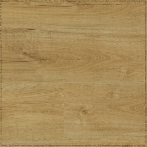 SPC ADELAR ETERNA SEBASTIAN OAK 05325