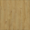 SPC ADELAR ETERNA SEBASTIAN OAK 05325