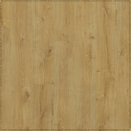 SPC ADELAR ETERNA SEBASTIAN OAK 05325