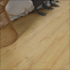 SPC ADELAR ETERNA SEBASTIAN OAK 05325