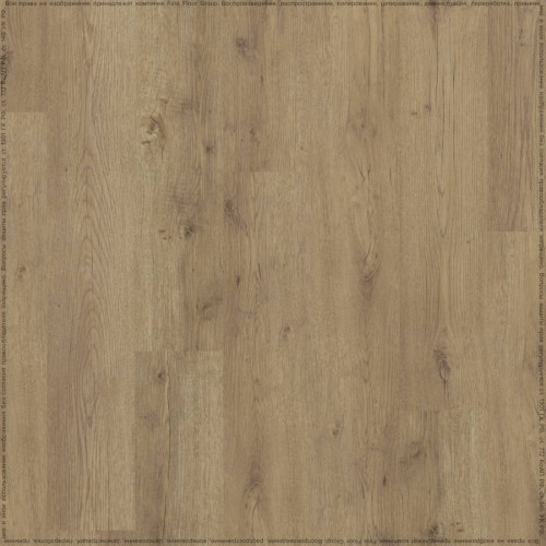 SPC ADELAR ETERNA MAJOR OAK 05829