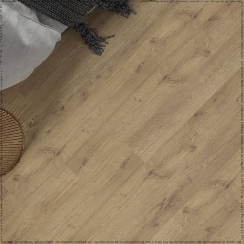 SPC ADELAR ETERNA MAJOR OAK 05829