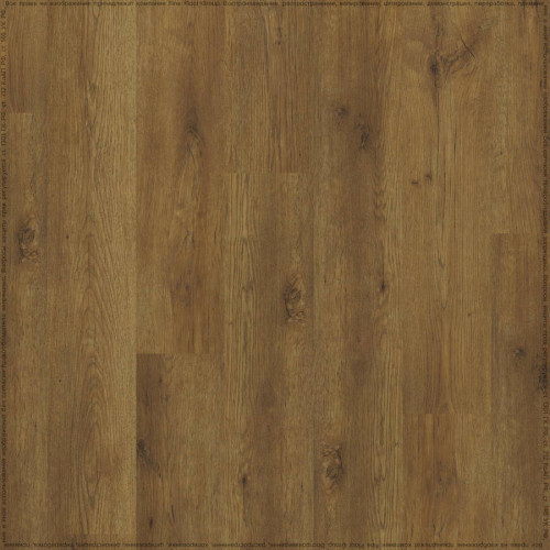 SPC ADELAR ETERNA MAJOR OAK 05855
