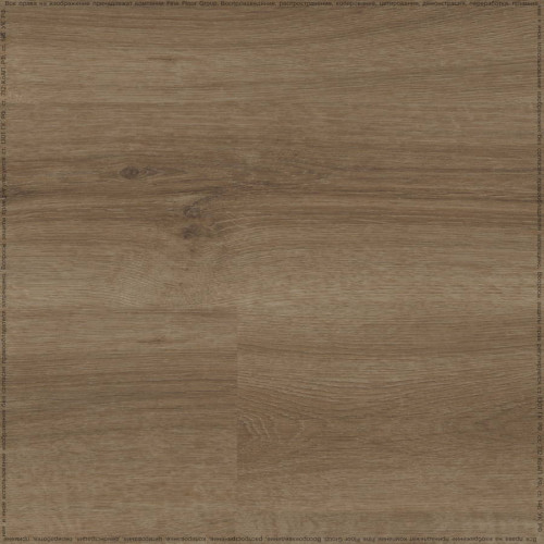 SPC ADELAR ETERNA ACOUSTIC SUMMER OAK 05859