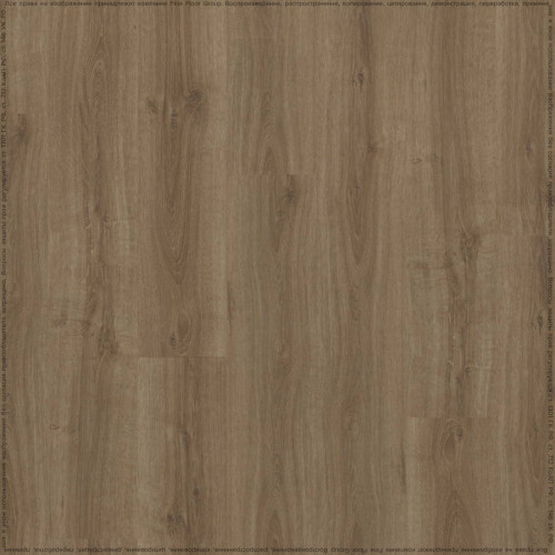 SPC ADELAR ETERNA ACOUSTIC SUMMER OAK 05859