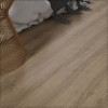 SPC ADELAR ETERNA ACOUSTIC SUMMER OAK 05859