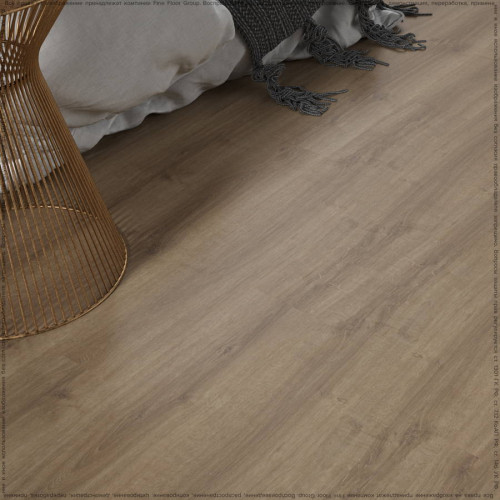 SPC ADELAR ETERNA ACOUSTIC SUMMER OAK 05859