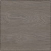 SPC ADELAR ETERNA ACOUSTIC SOMERSET OAK 05933