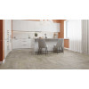 SPC Alpine Floor ДУБ ФАНТАЗИЯ ЕСО 13-1 MC