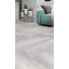 SPC Alpine Floor Дуб Лейтена ЕСО 13-18 MC