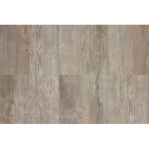 SPC Kastamonu RMRV-CC009 СОСНА АРИЗОНА