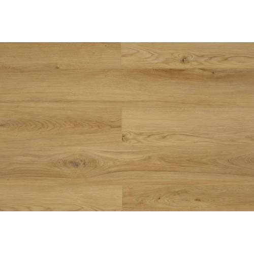 SPC Kastamonu SFRV-CC007 ЕЛЬ ОБЕРОНА