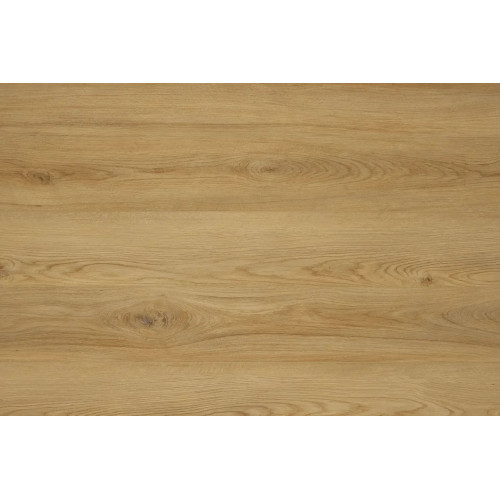 SPC Kastamonu SFRV-CC007 ЕЛЬ ОБЕРОНА