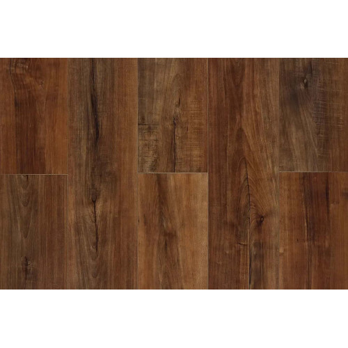 SPC Kastamonu SFRV-CC003 СЕКВОЙЯ ГОРНАЯ