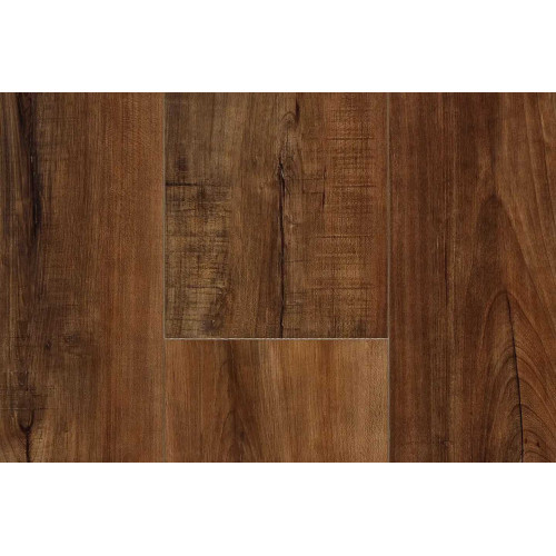 SPC Kastamonu SFRV-CC003 СЕКВОЙЯ ГОРНАЯ